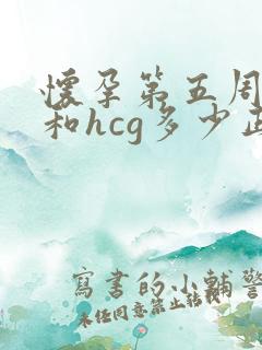 怀孕第五周孕酮和hcg多少正常