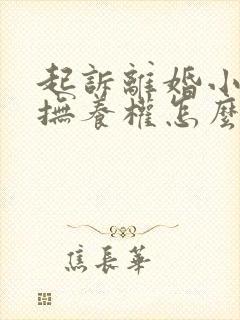 起诉离婚小孩的抚养权怎么判