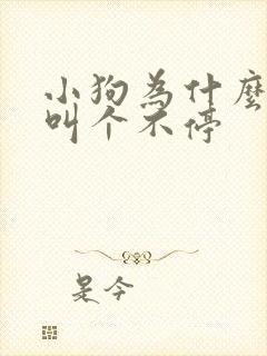 小狗为什么晚上叫个不停