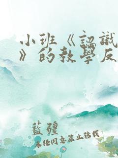 小班《认识圆形》的教学反思