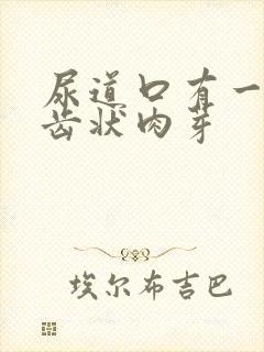 尿道口有一排锯齿状肉芽