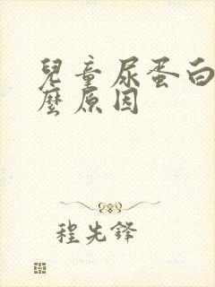 儿童尿蛋白高什么原因