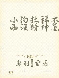 小狗拉稀不吃东西没精神怎么回事