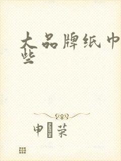 大品牌纸巾有哪些