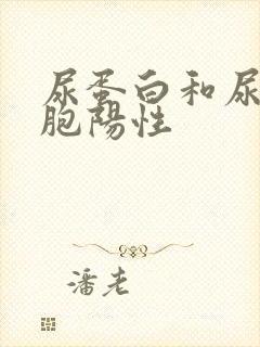 尿蛋白和尿白细胞阳性