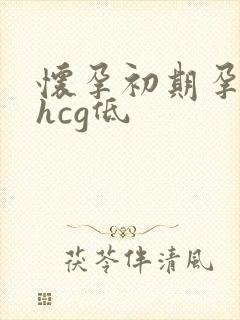 怀孕初期孕酮和hcg低