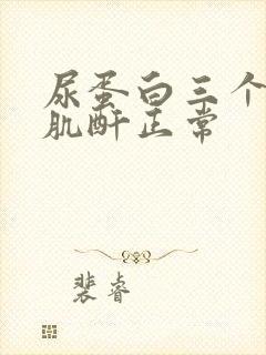 尿蛋白三个加号肌酐正常