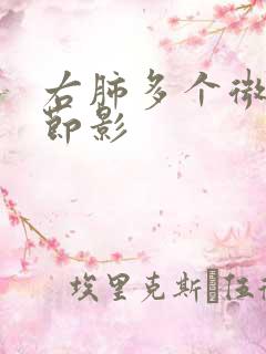 右肺多个微小结节影