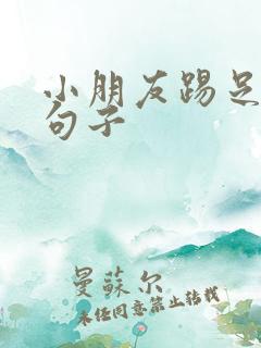 小朋友踢足球的句子