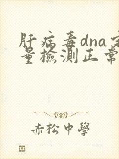 肝病毒dna定量检测正常值