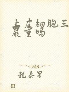 上皮细胞三个加严重吗