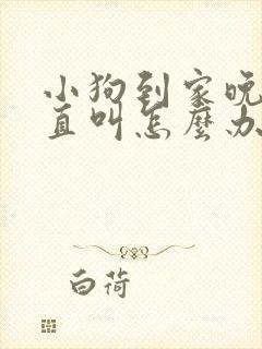 小狗到家晚上一直叫怎么办