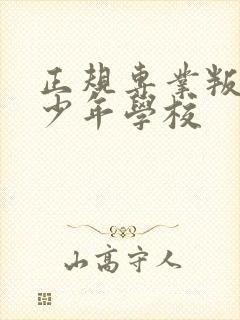 正规专业叛逆青少年学校