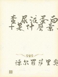 查尿液蛋白质2+是什么意思