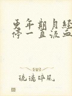 更年期月经总不停一直流血怎么治疗