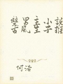 双男主小说虐文古风生子推荐完结免费阅读