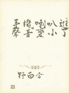 手机喇叭进水了声音变小了