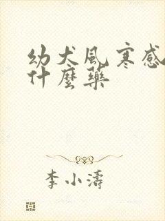 幼犬风寒感冒吃什么药