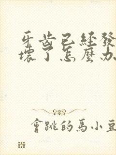 牙齿已经发生龋坏了怎么办