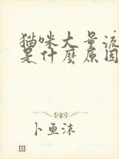 猫咪大量流口水是什么原因