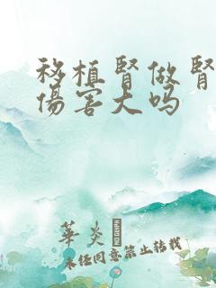 移植肾做肾穿,伤害大吗