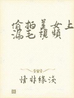 偷拍美女上厕所漏毛视频