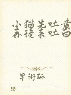 小猫先吐黄水,再后来吐白沫