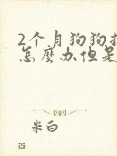 2个月狗狗拉稀怎么办但是很活泼