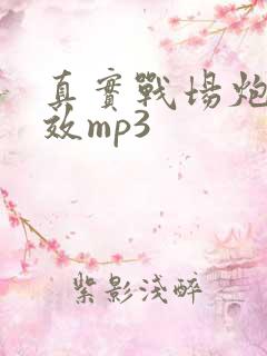 真实战场炮火音效mp3