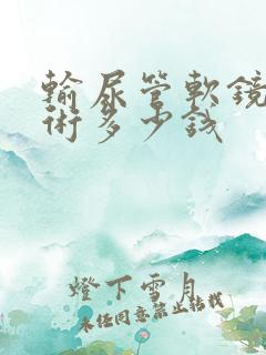 输尿管软镜取石术多少钱