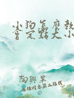 小狗怎么教都不会定点大小便