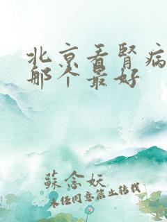 北京看肾病医院那个最好