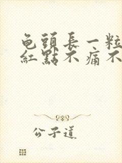 龟头长一粒一粒红点不痛不痒是什么