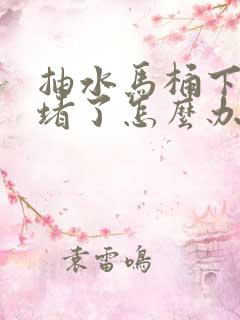 抽水马桶下水道堵了怎么办