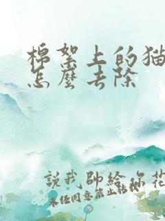 棉絮上的猫尿味怎么去除