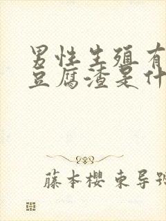 男性生殖有白色豆腐渣是什么原因