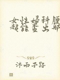 女性妇科腹部b超能查出哪些病