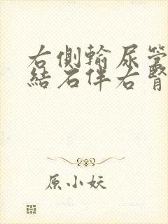 右侧输尿管中段结石伴右肾轻度积水