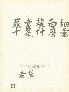 尿常规白细胞3十是什么意思