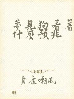 梦见狗看着我是什么预兆