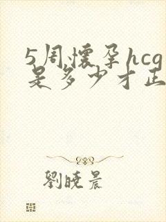 5周怀孕hcg是多少才正常