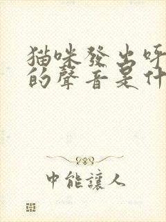 猫咪发出呼噜噜的声音是什么意思