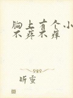 胸上有个小疙瘩不疼不痒