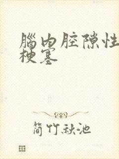 脑内腔隙性脑内梗塞