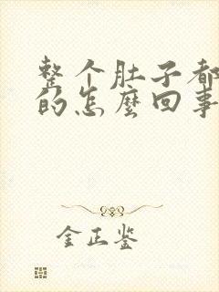 整个肚子都硬硬的怎么回事