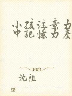 小孩注意力不集中记忆力差缺什么