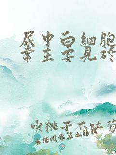 尿中白细胞管型常主要见于