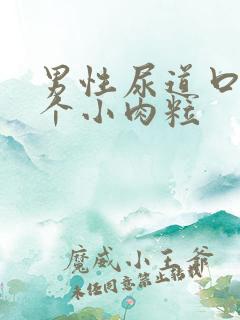 男性尿道口有两个小肉粒