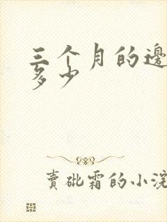 三个月的边牧喂多少