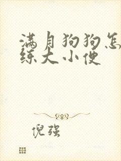 满月狗狗怎么训练大小便